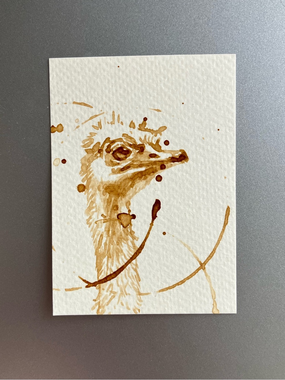 ORIGINAL coffee ostrich painting bird art miniature realism aceo artwork USA